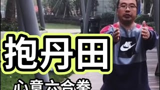 抱丹田心意六合拳中吕道人1：30后视频画面精致状态可以停止观看