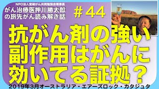 抗がん剤の強い副作用はがんに効いてる証拠？・旅先#44