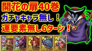 【ドラクエタクト】開花の扉40巻 ガチャキャラ無し！運要素無し速攻6ターン攻略！特技習得不要！立ち回り解説