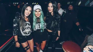 New Electro House Music 2016 Dance Club Mix #229