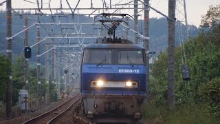 東海道本線 2014/10/30 貨物列車1071レ 代走EF200-12[吹]号機 ＋コキ26B