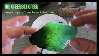 Prospecting A New Bowenite Rich Creek - The Greenest Green - By : Quest For Details