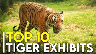 Top 10 Best Tiger Exhibits (I've Seen)