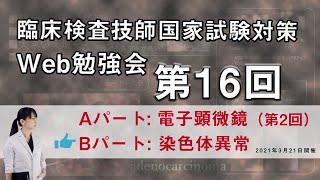 第16回　臨床検査技師 国家試験対策Web勉強会(Bパート)