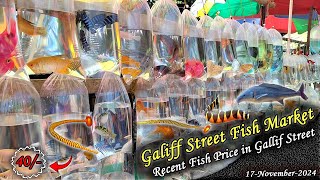 Galiff Street Fish Market Recent Video | Recent Fish Price In Galiff Street | 17.11.2024