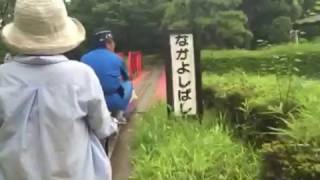 ミニ鉄道に乗車。川口市立グリーンセンター