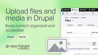 Uploading Files & Media in Drupal