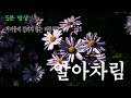 묘원 불교 방송 5분명상 21. 알아차림