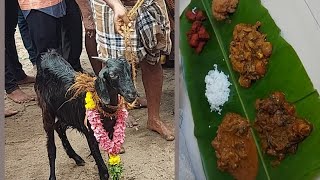 கோவில் கொடை கிடா கறி விருந்து | Family vlog |Balan's variety kitchen