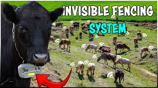 INVISIBLE Fencing System | Virtual fence for Livestock