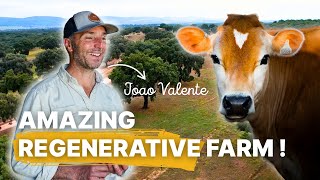 Beautiful 1000-ha Regenerative Farm in Portugal 🇵🇹 with João Valente