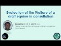 VET Talks: Evaluation of the welfare of a draft equine in consultation