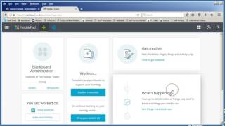 Pebblepad Interface Overview