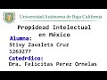 Propiedad Intelectual en México | Propiedad Industrial y Derecho de Autor | UABC