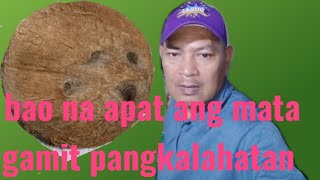 BAO na apat ang mata gamit pangkalahatan