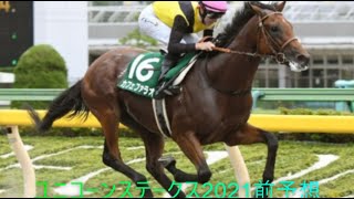 【ユニコーンステークス前予想】距離不安も能力は高いあの馬が！