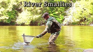 River Smallmouth Fishing || Nikko Leech Strikes Again