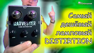 Самый дешёвый ламповый звук Harvester Tube Distortion