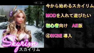 今から始めるスカイリム・MODを入れて遊びたい 初心者向け ④SKSE 導入