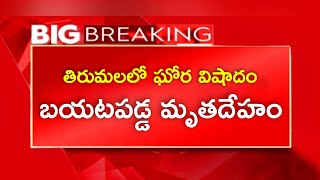 తిరుమల నడక మార్గంలో వ్యక్తి మృతదేహం కలకలం.. పక్కనే జింక కళేబరం || Tirumala news