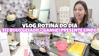 VLOG ROTINA DO DIA | LAVEI A COZINHA , ESTAVA PRECISANDO |FIZ BOLO GELADO |GANHEI PRESENTE DA SHEIN