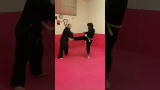 KENPO- JJJUTSU WSDA AREZZO COMBAT-JUTSU MAESTRO 6° DAN LUCIO PICCIOLI RESPONSABILE PROVINCIALE