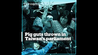 Fists and pig guts fly across Taiwan Parliament