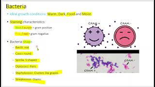 1411 06 Microbiology