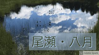 尾瀬・2020年8月（ダイジェスト）