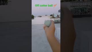 best. off cutter ball #stumper ball #bumrah #like #subscribe #cricketforever