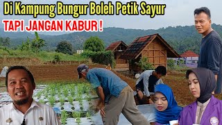 Di Kampung Bungur Boleh Petik Sayur, tapi Jangan Kabur! #wisatadesa #alamdesa #ciamis