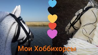 Мои Хоббихорсы/обзор на моих Хоббихорсов/Хоббихорсинг