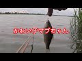 【対策から爆釣！？】へらぶな釣り釣れまくる！？スーパーへらオヤジ