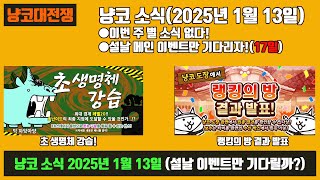 【냥코대전쟁】 냥코 소식(2025년 1월 13일) / 이번 월요일은 별 소식이 없다!