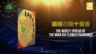 The Widely Spread Of The Mian Gui Flower Fragrance (Offical Music Audio)