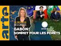 Gabon  : un sommet pour les forêts - Le dessous des cartes - L'essentiel | ARTE