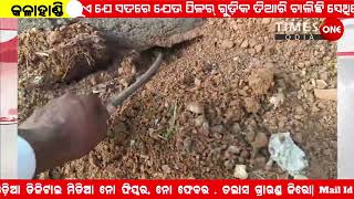 RMC ଅଧିନରେ ଚାଲୁଥିବା weigh bridge ର କାମ   ନିମ୍ନମାନର |ଚାଷୀଙ୍କ ଅଭିଯୋଗ |Jaipatna kalahandi |Timesoneodia