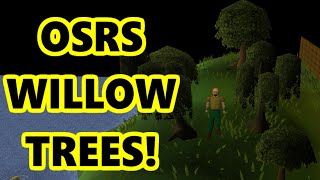 Where To Find Willow Trees In OSRS For Fresh Start Worlds
