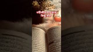 নবীজীর চমৎকার কিছু কথা #shortfeed #shortsvideo #shortsviral #shortvideo #shortsfeed