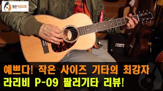 [라리비기타] 라리비 P-09 기타 리뷰 (Larrivée P-09 Guitar Review)