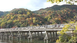 2019 日本京都賞楓自由行(4K) - 第二天 嵐山渡月橋、天龍寺 part1