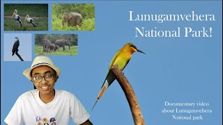 Lunugamvehera National park | Safari | Sri Lanka | Travel with Jayana Malmeth🌿🌴