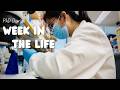 Singapore PhD diaries (wet lab!) - cell culture, bacteria work and tissue dissection