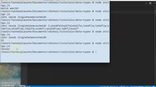 JavaScript Data Types: Strings