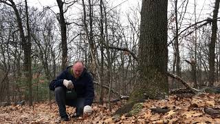 Deciduous Forest Biome