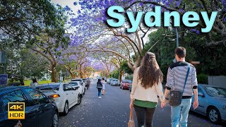 Sydney in Spring - Jacaranda Street | 4K HDR