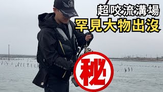 激戰一位難求的熱門流溝場 意外釣到超少見的魚（巨物)︱磯釣︱阿波︱全游動︱