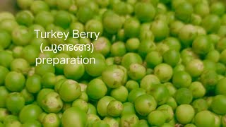 Turkey berry preparation (ചുണ്ടങ്ങ തോരൻ)