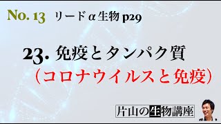 13_片山の生物講座（23. 免疫とタンパク質）