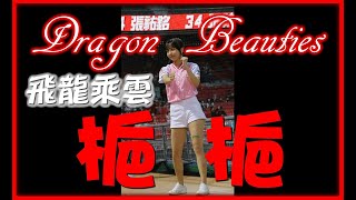 2021/11/21【🐲粉紅球衣梔梔CHERRYチェリー】日式飛龍乘雲應援曲〆🐉Dragon Beauties小龍女(味全龍隊)